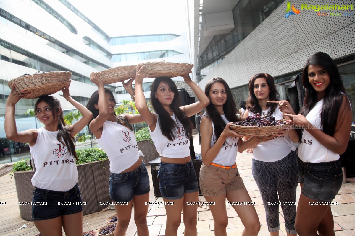 The Grape Stomp 2015 at The Park, Hyderabad