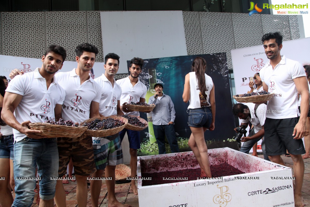 The Grape Stomp 2015 at The Park, Hyderabad