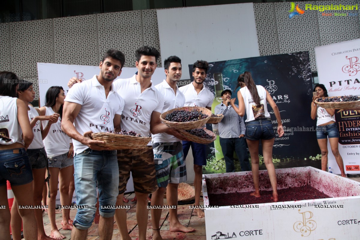 The Grape Stomp 2015 at The Park, Hyderabad