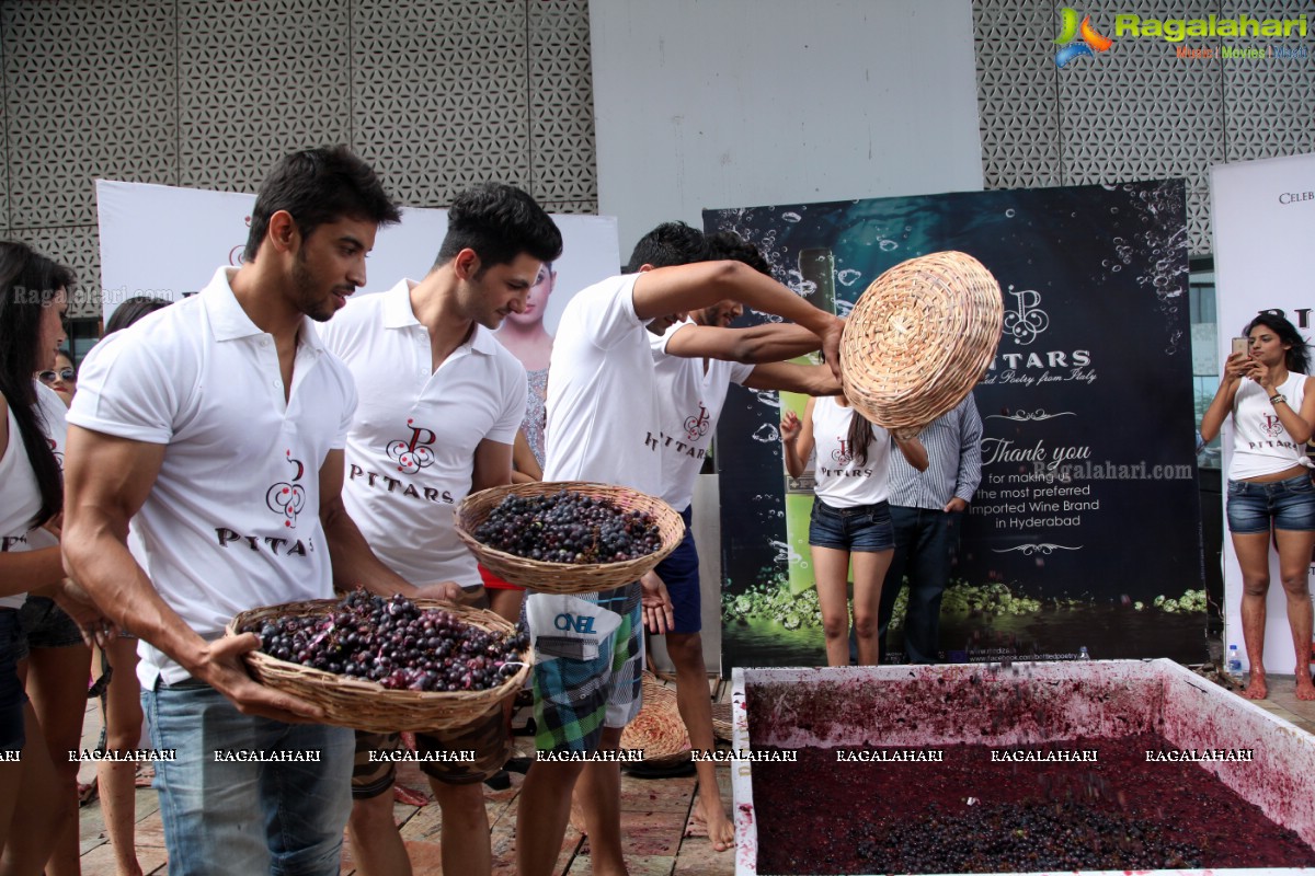 The Grape Stomp 2015 at The Park, Hyderabad