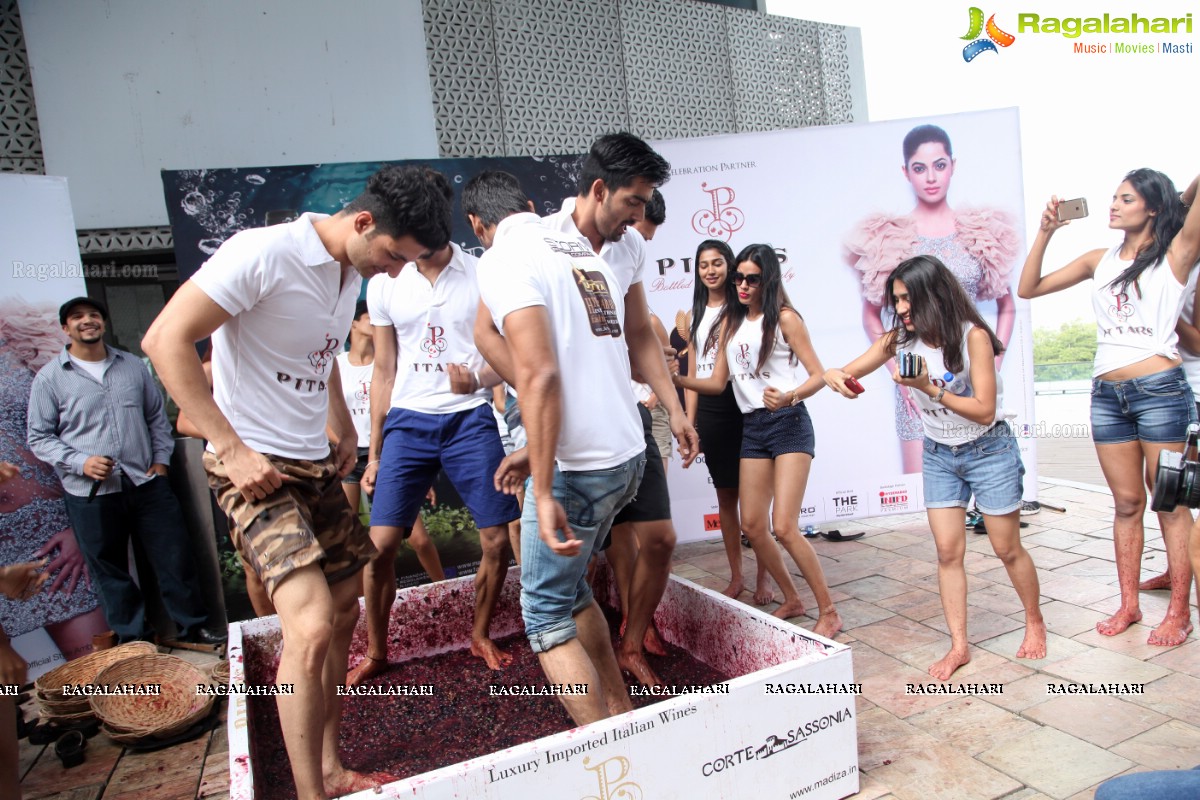 The Grape Stomp 2015 at The Park, Hyderabad