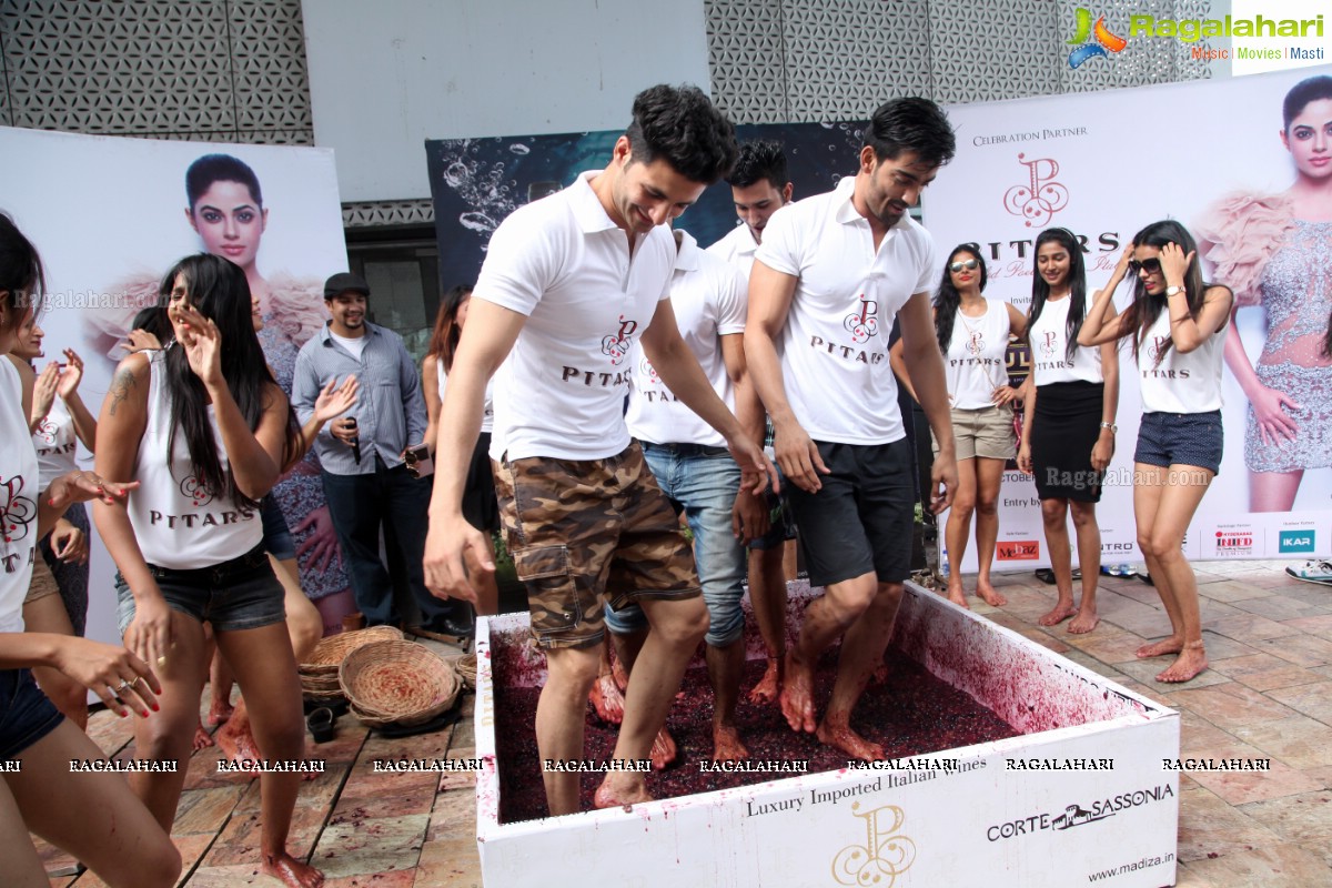 The Grape Stomp 2015 at The Park, Hyderabad