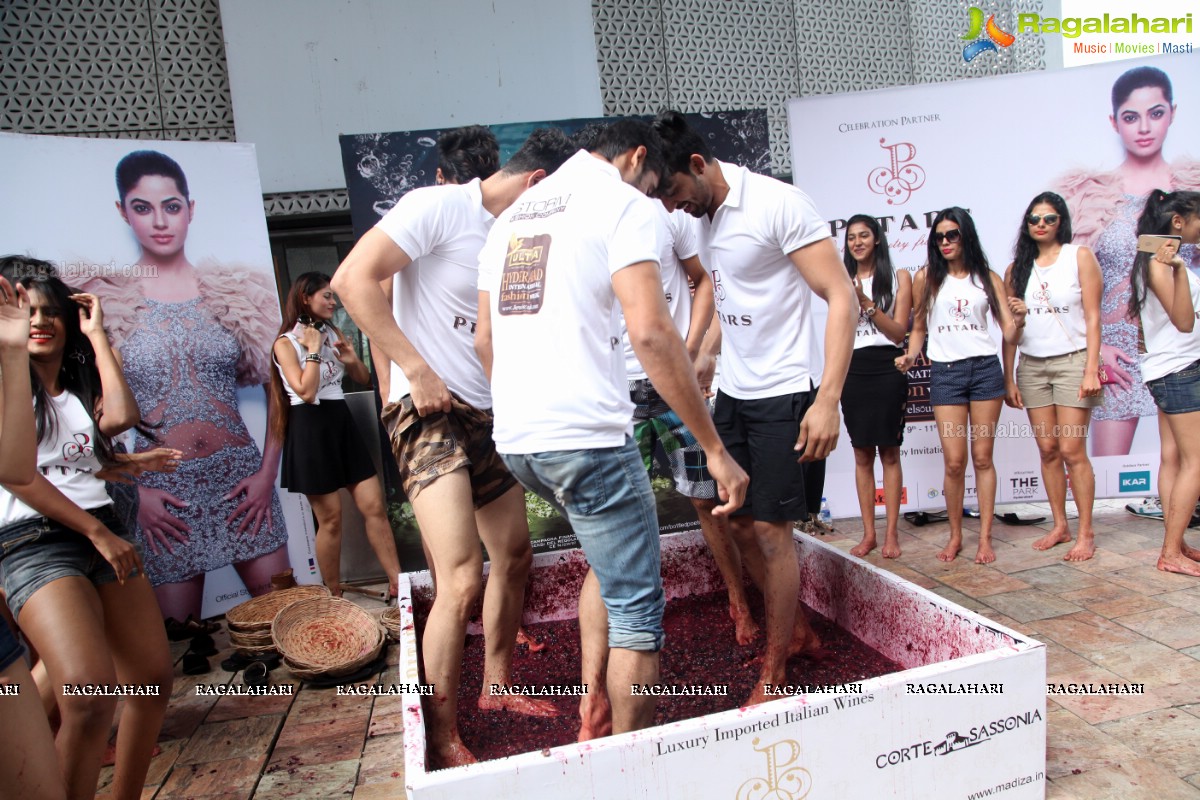 The Grape Stomp 2015 at The Park, Hyderabad