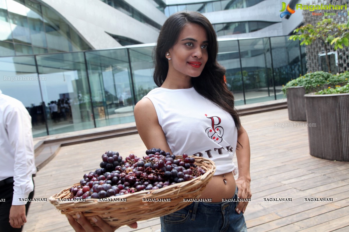 The Grape Stomp 2015 at The Park, Hyderabad