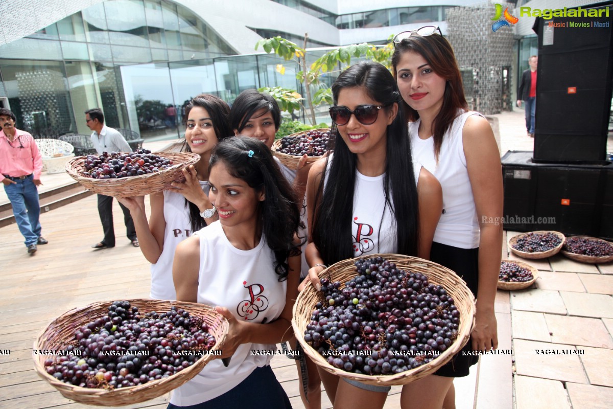 The Grape Stomp 2015 at The Park, Hyderabad