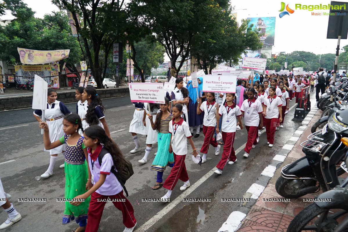 Walk The Talk - Pink Ribbon Walk 2015 at KBR Park, Hyderabad