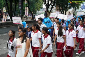 Pink Ribbon Walk