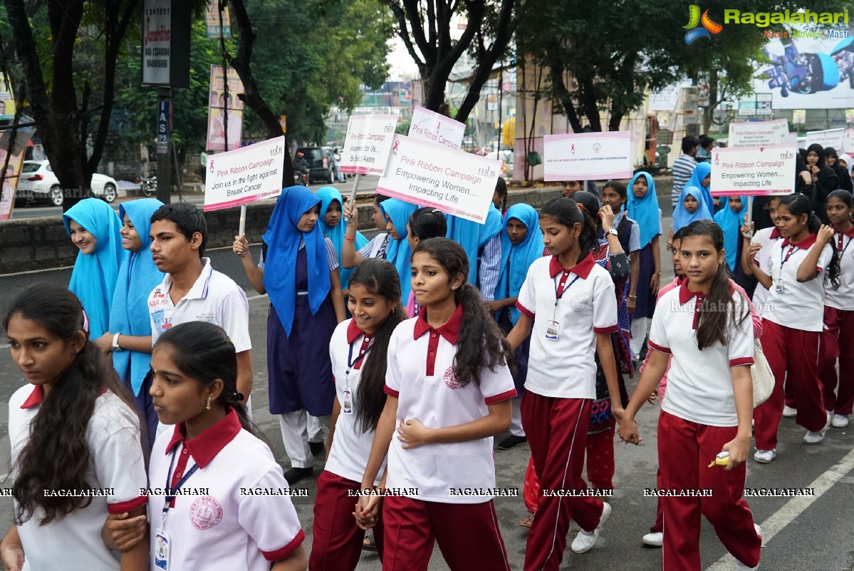 Walk The Talk - Pink Ribbon Walk 2015 at KBR Park, Hyderabad