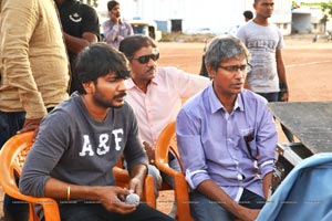 Bengal Tiger Working Stills