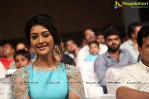 Dwaraka Audio Release