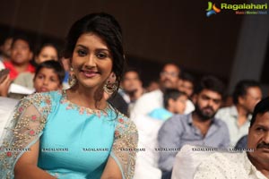 Dwaraka Audio Release