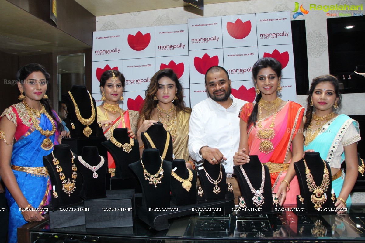 Manepally Dhanteras Collection 2016 Showcase