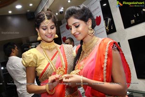 Manepally Dhanteras Collection 2016