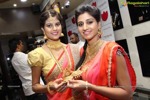 Manepally Dhanteras Collection 2016