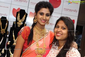 Manepally Dhanteras Collection 2016