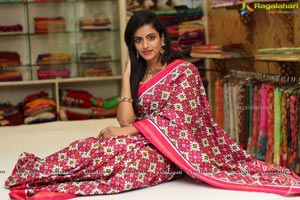 Singhania's Patola Sarees