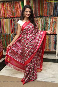 Singhania's Patola Sarees