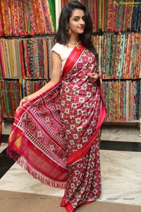 Singhania's Patola Sarees