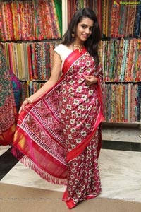 Singhania's Patola Sarees