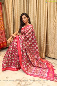 Singhania's Patola Sarees