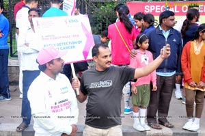 Pink Ribbon Walk 2016 at KBR Park