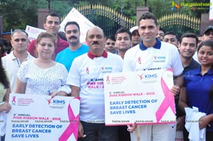 Pink Ribbon Walk 2016 at KBR Park