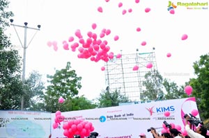 Pink Ribbon Walk 2016 at KBR Park