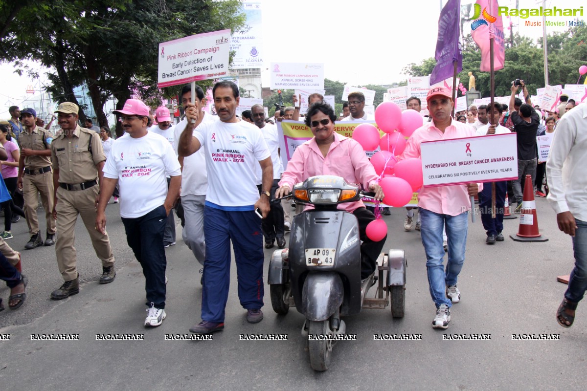 Pink Ribbon Walk 2016 at KBR Park