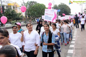 Pink Ribbon Walk 2016 at KBR Park