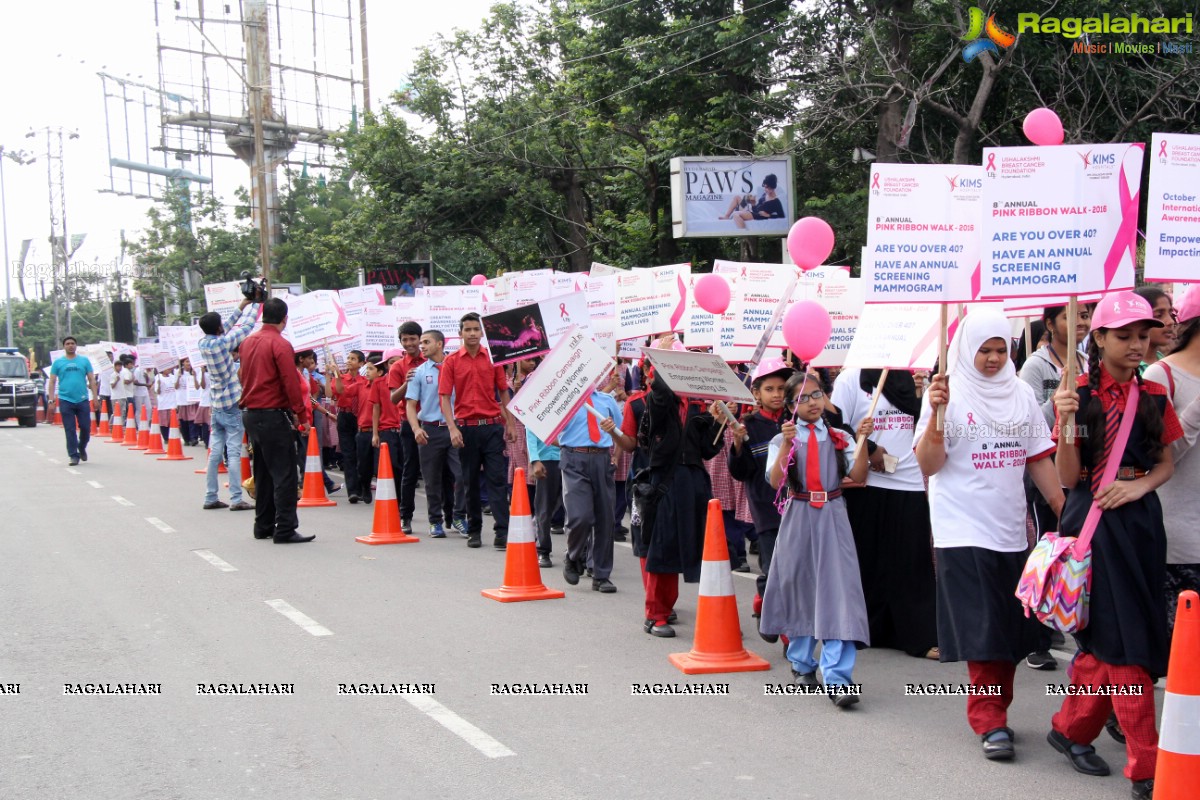 Pink Ribbon Walk 2016 at KBR Park