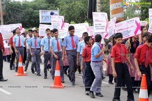 Pink Ribbon Walk 2016 at KBR Park