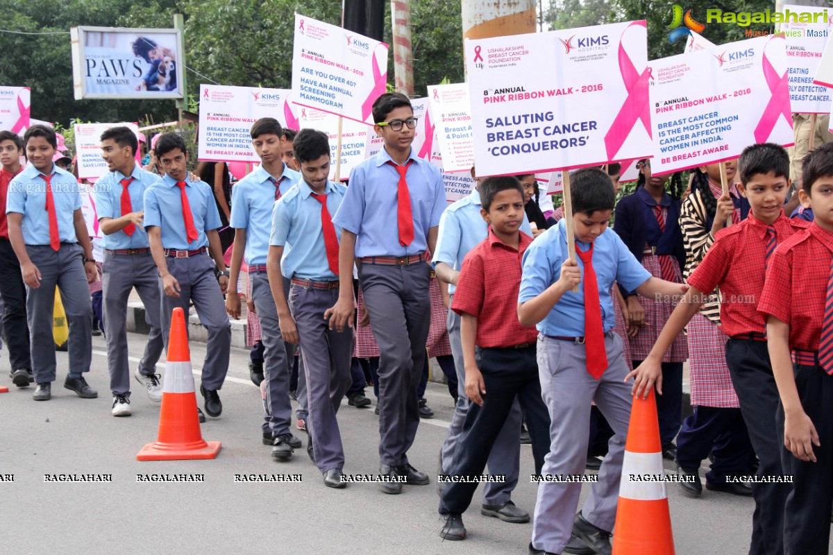 Pink Ribbon Walk 2016 at KBR Park