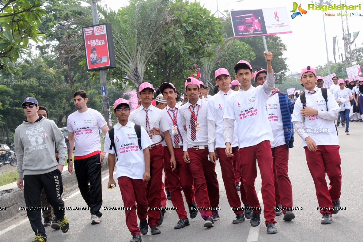 Pink Ribbon Walk 2016 at KBR Park