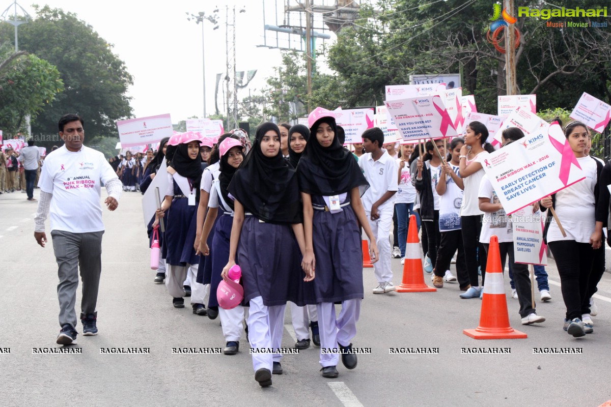 Pink Ribbon Walk 2016 at KBR Park