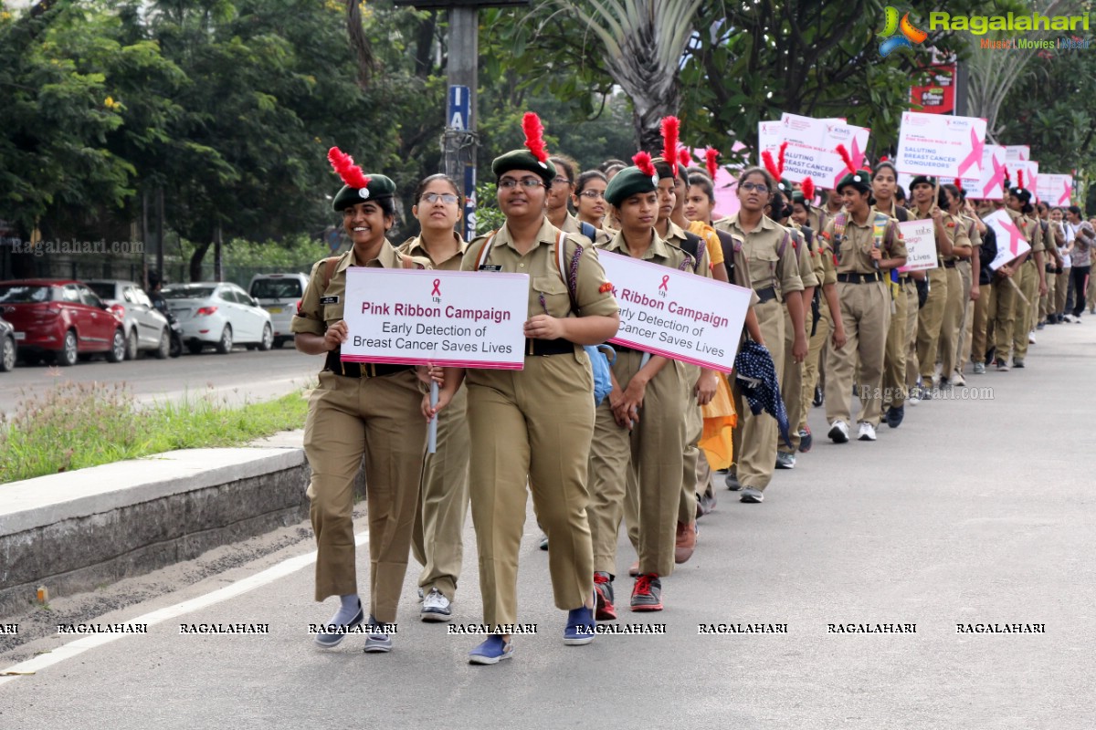 Pink Ribbon Walk 2016 at KBR Park