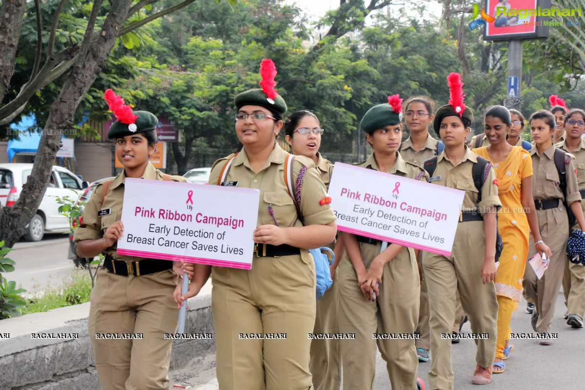 Pink Ribbon Walk 2016 at KBR Park