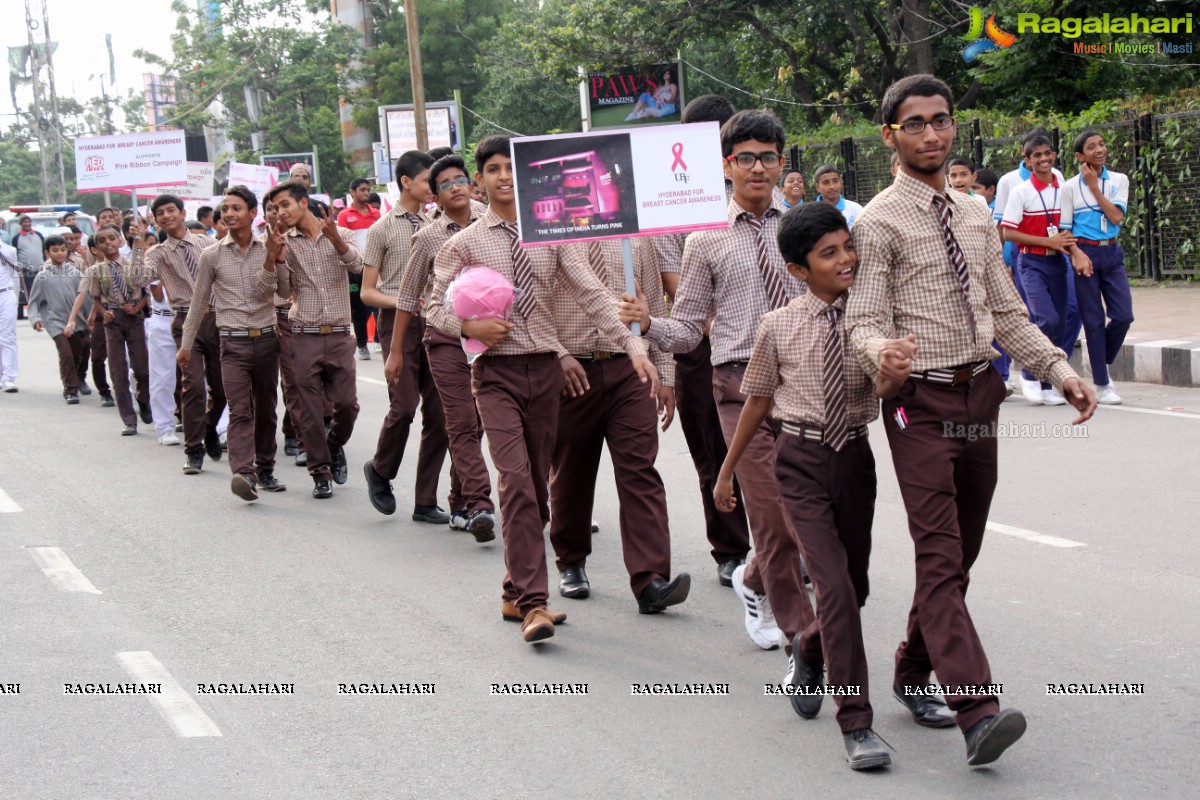 Pink Ribbon Walk 2016 at KBR Park