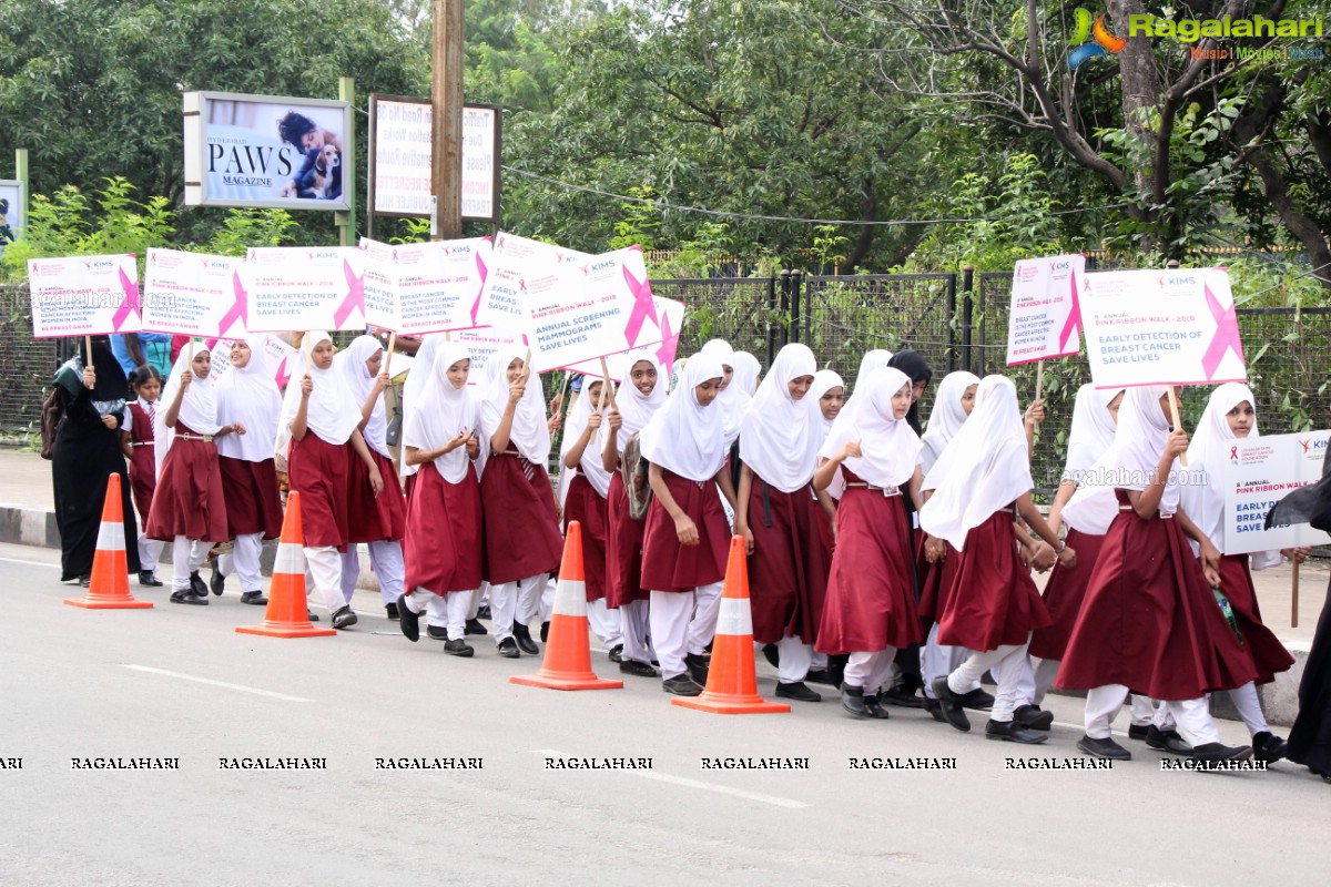 Pink Ribbon Walk 2016 at KBR Park