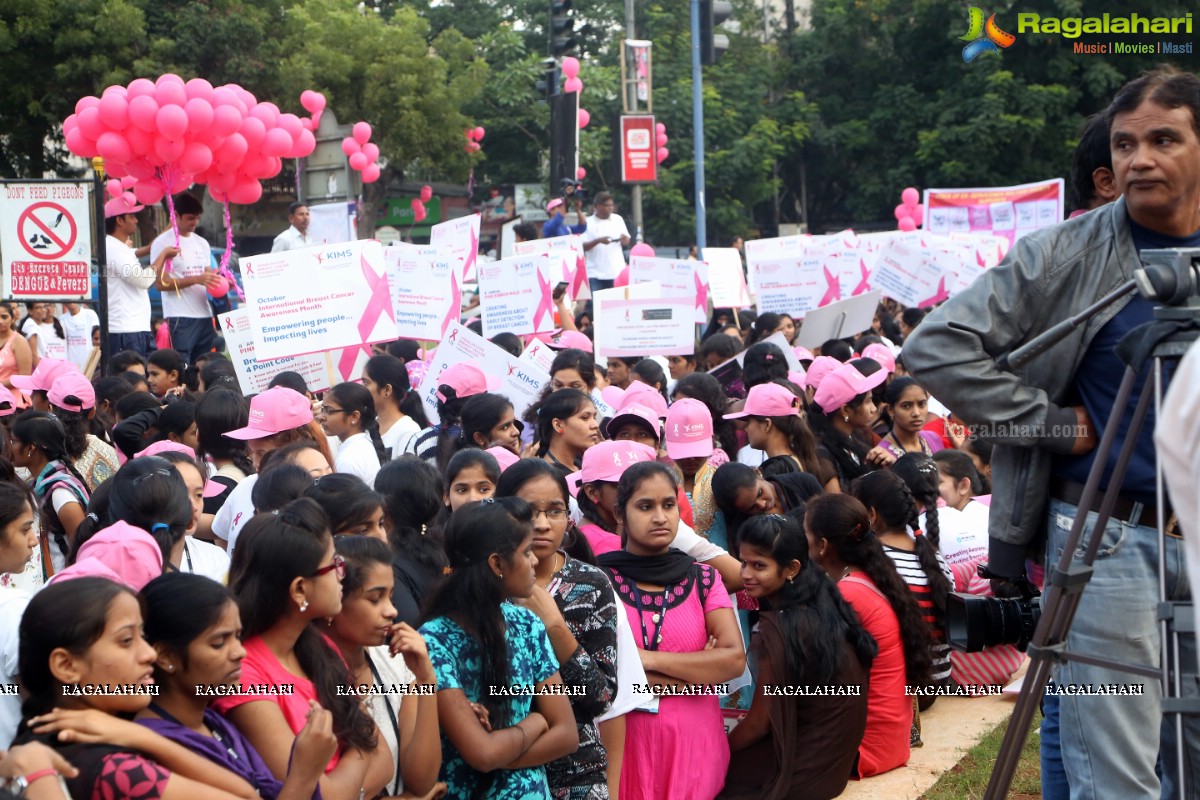 Pink Ribbon Walk 2016 at KBR Park