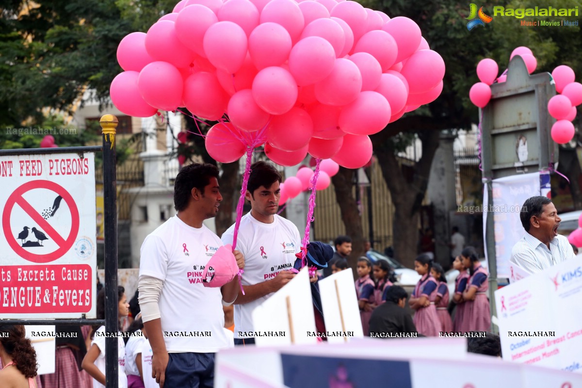 Pink Ribbon Walk 2016 at KBR Park