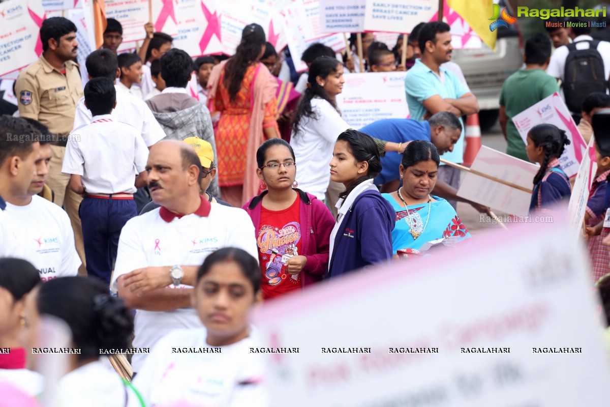 Pink Ribbon Walk 2016 at KBR Park