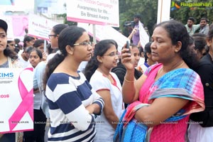 Pink Ribbon Walk 2016 at KBR Park