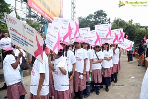 Pink Ribbon Walk 2016 at KBR Park