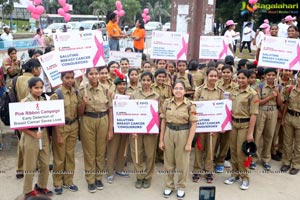 Pink Ribbon Walk 2016 at KBR Park