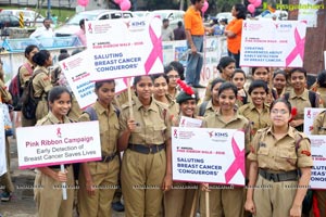 Pink Ribbon Walk 2016 at KBR Park