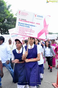 Pink Ribbon Walk 2016 at KBR Park