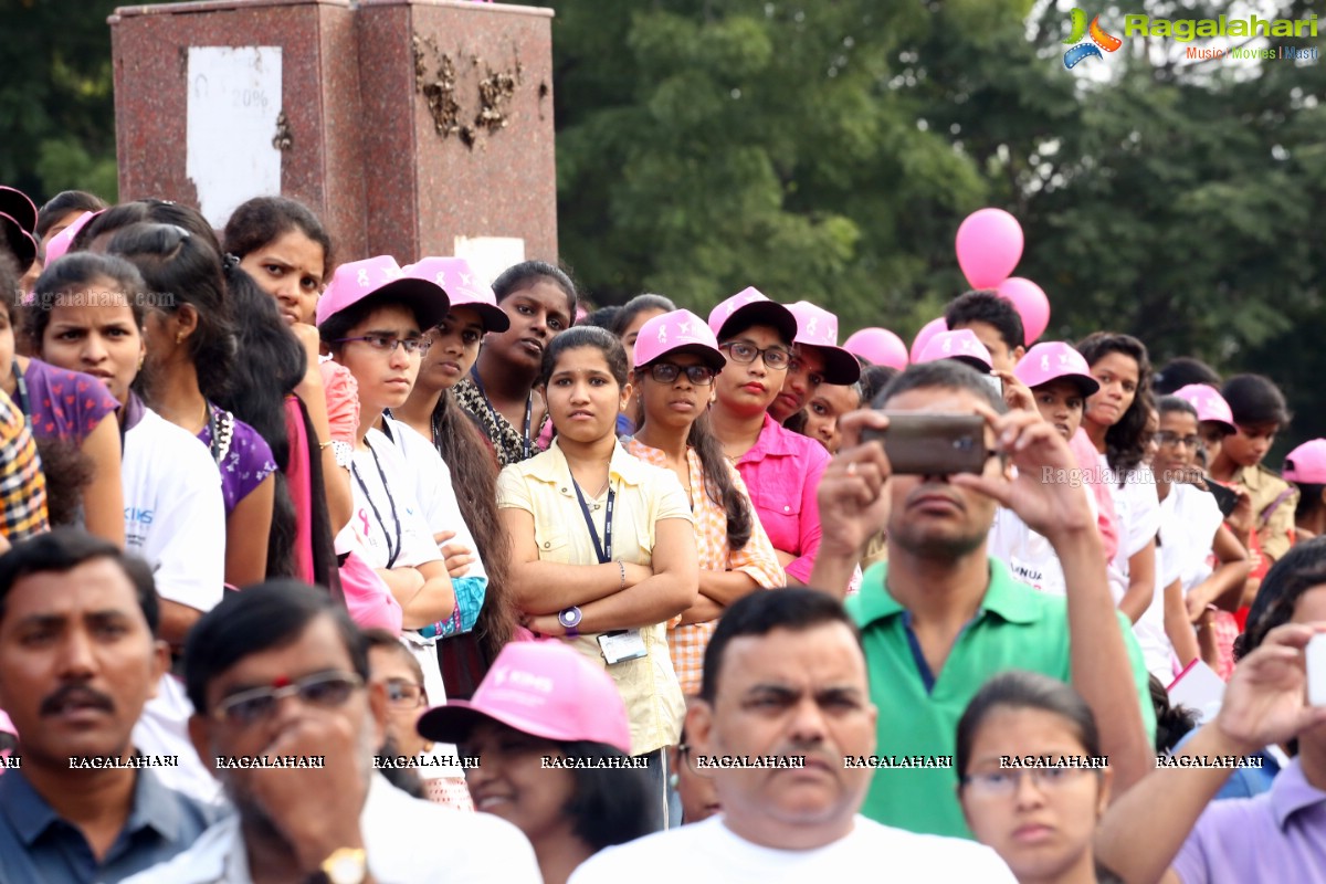 Pink Ribbon Walk 2016 at KBR Park