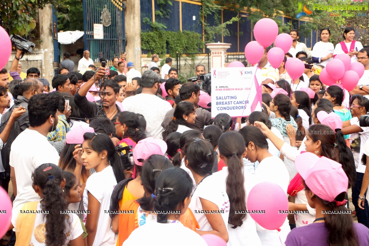 Pink Ribbon Walk 2016 at KBR Park