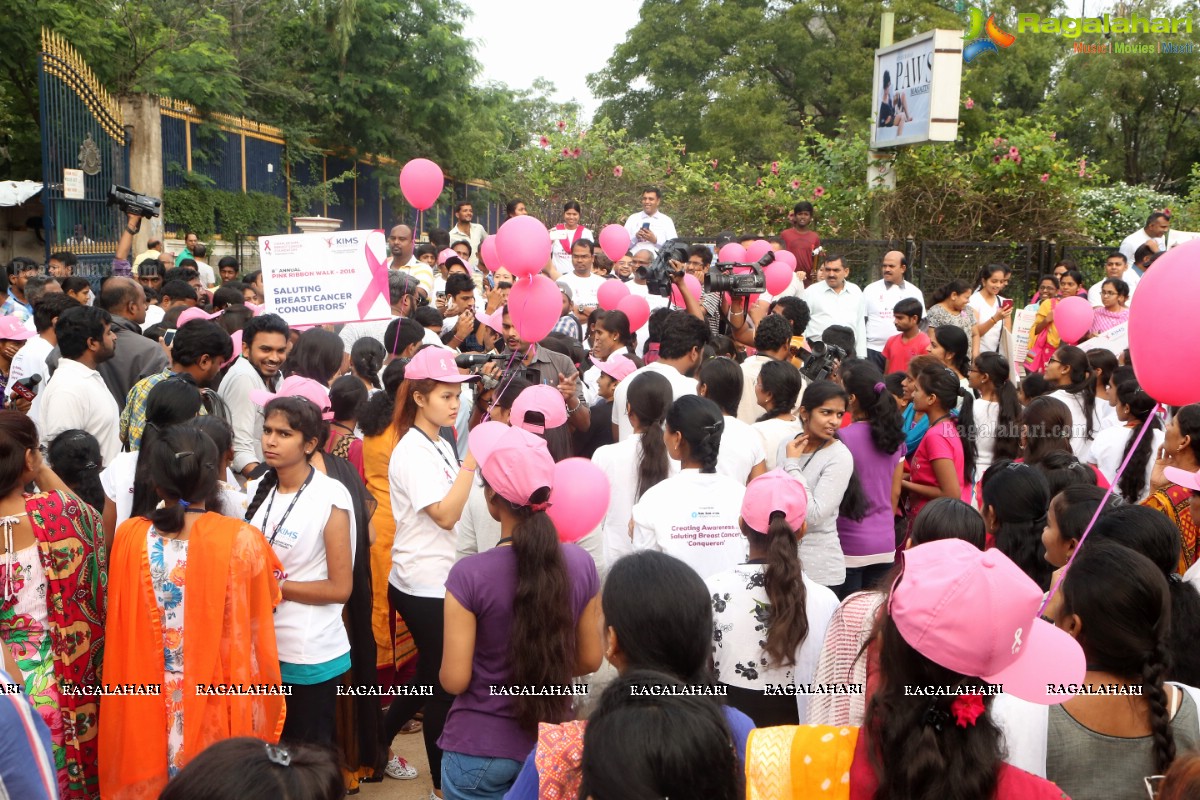 Pink Ribbon Walk 2016 at KBR Park