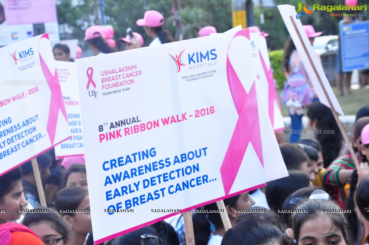 Pink Ribbon Walk 2016 at KBR Park